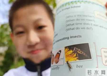 国庆节英语作文,把食蚜蝇当蜜蜂？沈阳12岁男孩给英语教材纠错！官方回应
