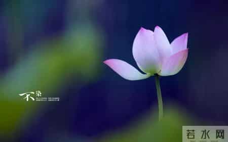 席慕容 青春,席慕容：青春是一本太仓促的书，我们含着泪，一读再读