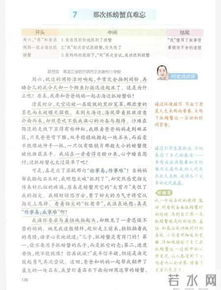 经历 作文,我的成长经历作文