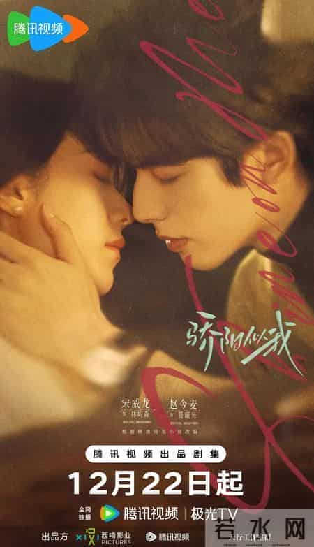 《骄阳似我》从校园暗恋到职场沉沦，爱与成长中拥抱梦想人生