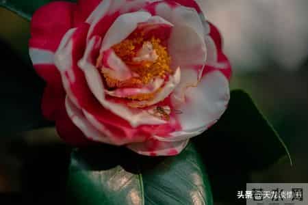 怎样做人,为人处世大全，建议收藏