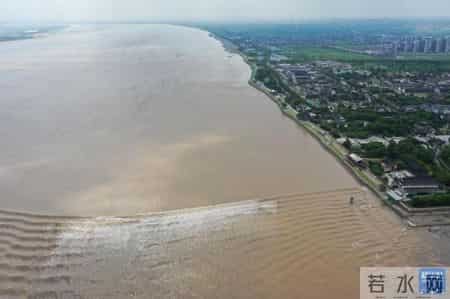 钱塘江大潮文章,钱塘江大潮的文字