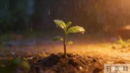 自我成长是生命的漫长旅程