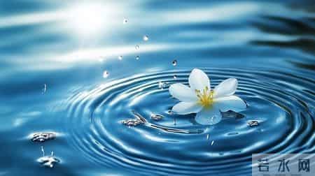 知善知恶，决而行之一做有底线的行者