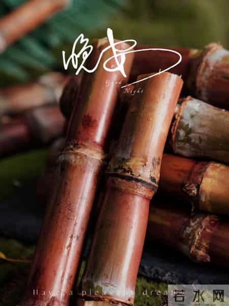 落落经典语录,落落名句