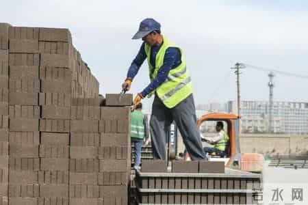 变形记600字,变形记600字可抄免费