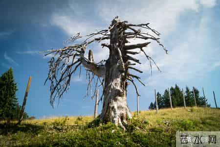 公输原文,公输原文朗读视频