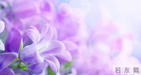 周公解梦：深夜做这几种梦，看看明天会发生什么？