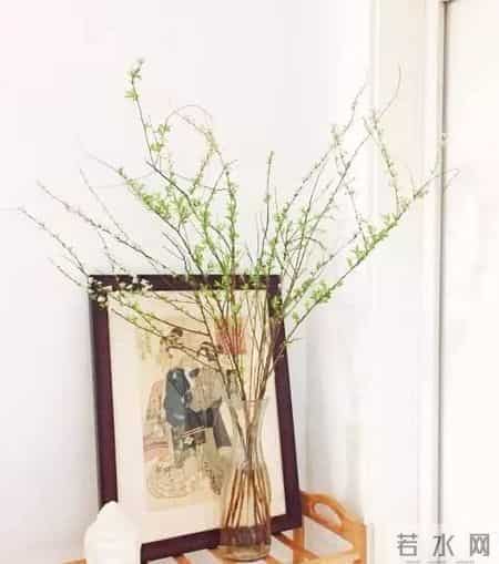 20种花材的插花方法，不会插花看这里