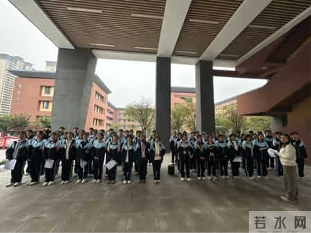 文学社活动计划