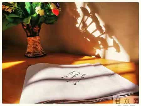 有一种爱叫做放手作文