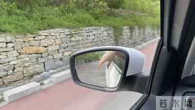 新手窄路会车不慌!这些技巧要记牢