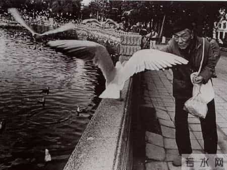 老人与海鸥教学实录,老人与海鸥课堂实录