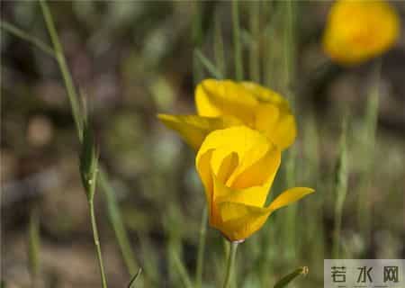 心灵鸡汤小故事