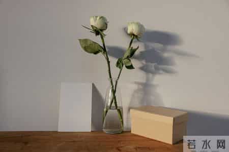 贺卡祝词,文案丨写在明信片-贺卡上的祝福语