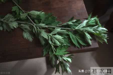 乡情散文：家乡的端午节