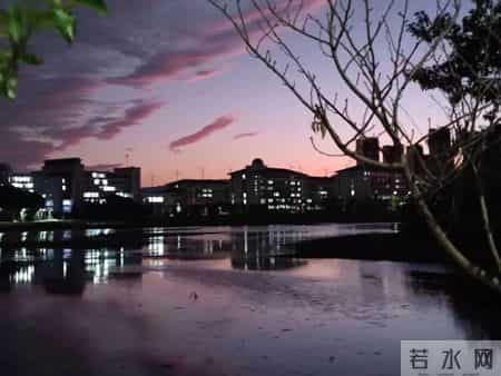 军训生活,军训生活感悟作文800字