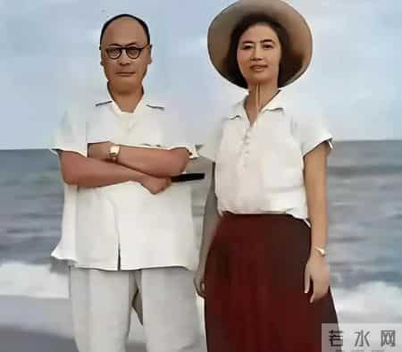 青松挺且直——陈毅元帅《青松》诗赏析