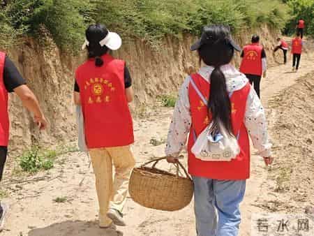 【情暖家乡 实践有我】文县青年学子暑期社会实践活动心得感悟来啦！