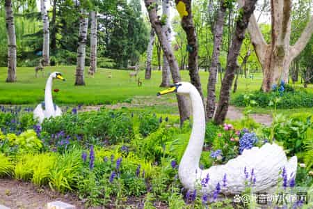 动物园奇遇记,动物园奇遇记作文400字