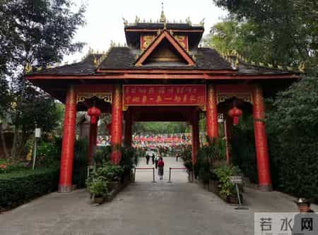 美丽的西双版纳作文,美丽的西双版纳作文400野象谷