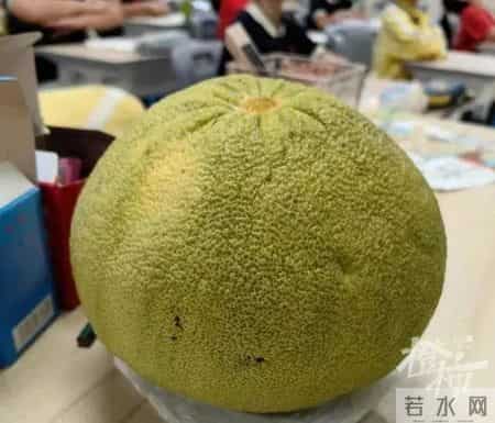 偷吃的味道,上课偷吃大蒜，气味弥漫了全班！天一冷，小学生的嘴巴有多馋？