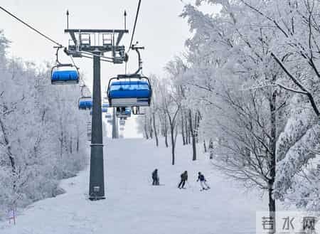 2022冬奥会作文400字,2022冬奥会作文100字