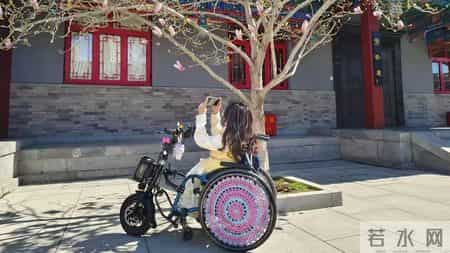妈妈我想对你说300,从就医被拦到乘车受阻，电动轮椅为何屡屡被拒之门外？