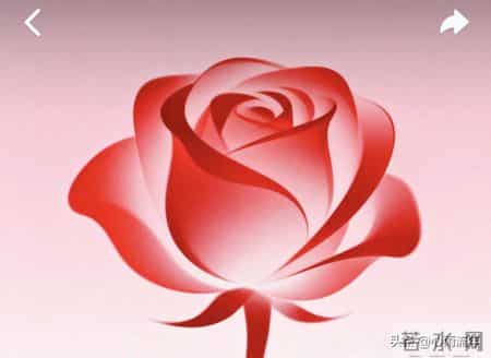 律师委托代理合同