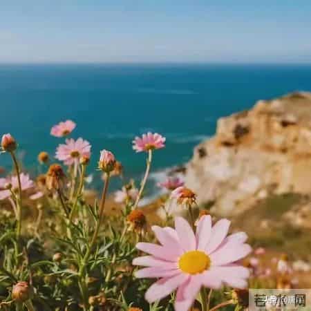 感恩2021展望2022,感恩2020展望2021文字