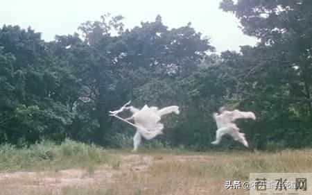 口若悬河滔滔不绝打一电影名