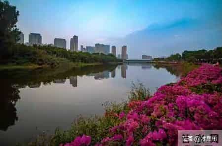 与迷茫和痛苦共舞,你真的懂得蜕变的意义吗？