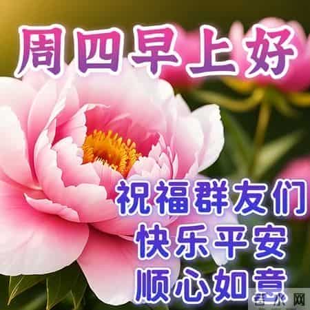 最新早上好祝福每天一句，早安暖心牵挂的句子，吉祥如意伴你左右