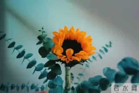 感恩2021展望2022,感恩2020展望2021文字