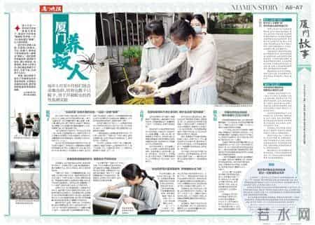 慎点！厦门有群人专门养蚊子，已养了几万只