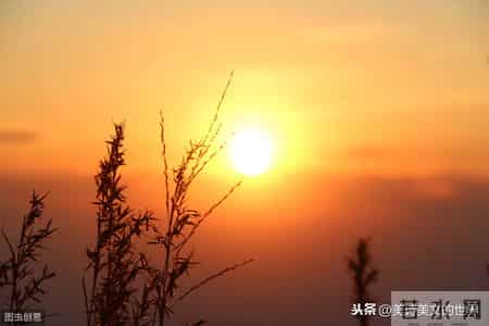 姜太公钓鱼打一数学用语