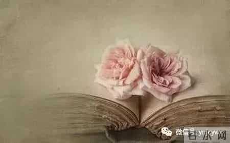 「云检文学」我的退休生活