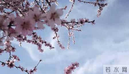 企业文化建设总结,企业文化建设包括哪些