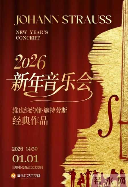 北京的春节教学设计