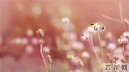 早会激励小故事,早会短小激励小故事