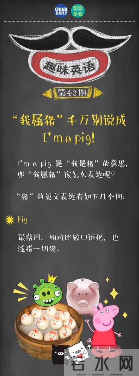 pig是什么意思,piggy是什么意思