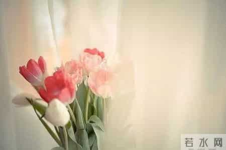 席慕容 青春,席慕容：青春是一本太仓促的书，我们含着泪，一读再读