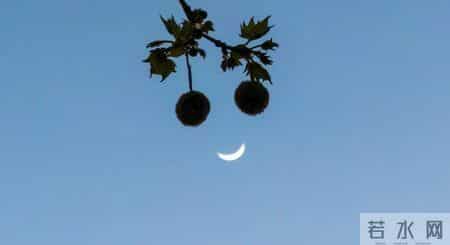 年度最小蛾眉月来了！什么时候观赏效果最佳？