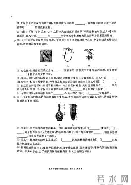 七年级生物下册期末试卷,七年级生物下册期末试卷带答案