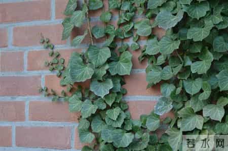 描写环境的句子,发自内心感慨的说说，唯美忧伤，有没有一句戳中泪点