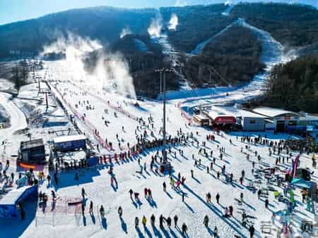 2022冬奥会作文300字