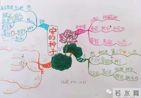 小学五年级作文,小学五年级作文多少分