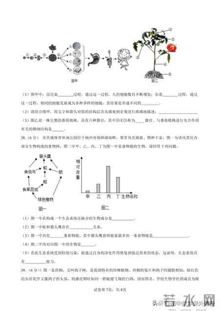 2026七年级“小四门”生物期末试题-家长速收藏！明年备考可用