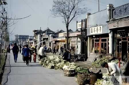 今夜星光灿烂作文,今夜星光灿烂作文