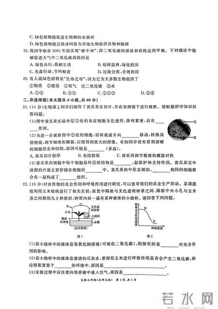 七年级生物下册期末试卷,七年级生物下册期末试卷带答案